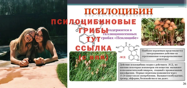 герыч Магадан