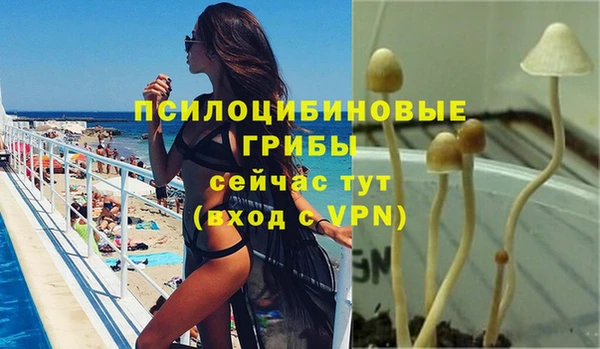 мяу мяу мука Майский