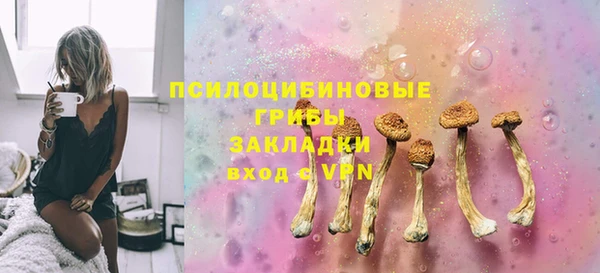 молекула духа Лихославль