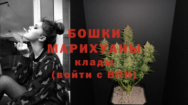 молекула духа Лихославль
