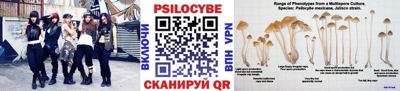 купить   блэк спрут сайт  Галлюциногенные грибы прущие грибы  Мамадыш 
